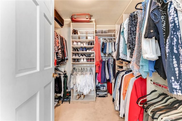 walk in closet featuring carpet flooring