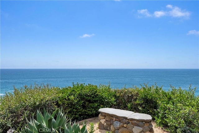 property view of water