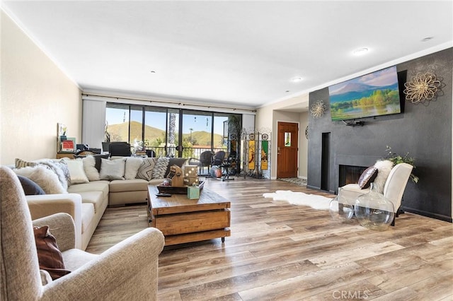 living room with a fireplace and wood finished floors