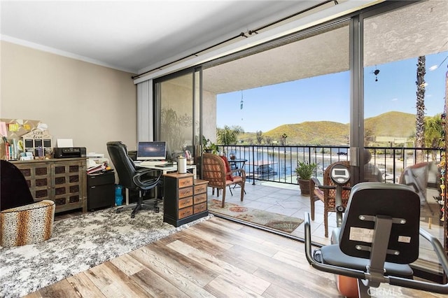 22570 Bass Pl Unit 7, Canyon Lake, CA 92587 - home office featuring ornamental molding, expansive windows, and wood finished floors