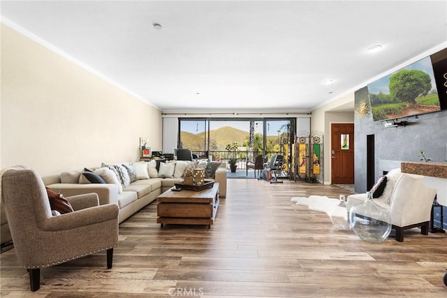 22570 Bass Pl Unit 7, Canyon Lake, CA 92587 - living room with wood finished floors and a high end fireplace