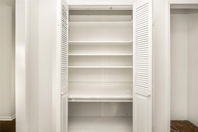 view of closet