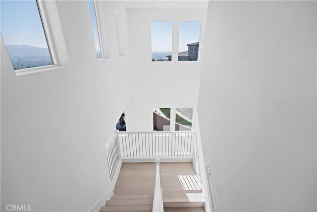 staircase with a healthy amount of sunlight and wood finished floors