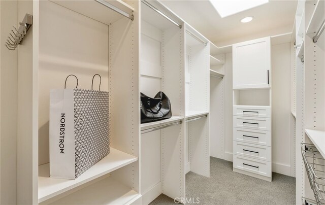 207 E Edgewater Ave Unit A, Newport Beach, CA 92661 - walk in closet featuring light carpet