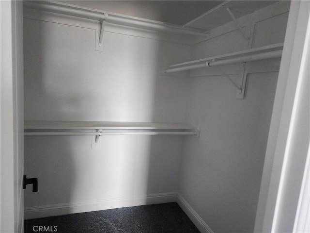 view of walk in closet