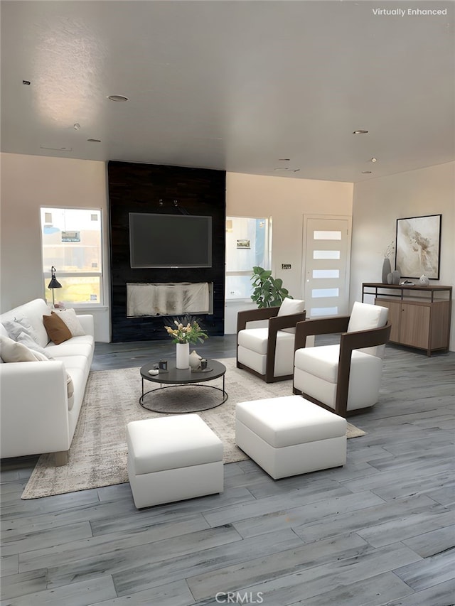 living room featuring wood finished floors