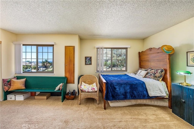 bedroom with carpet flooring and a textured ceiling