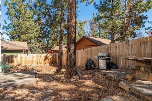 view of yard featuring a fenced backyard and a patio