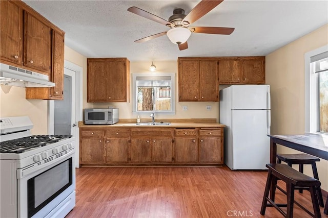 kitchen with white appliances, brown cabinets, a sink, and under cabinet range hood