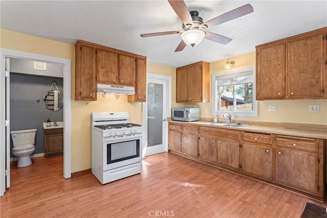 kitchen featuring brown cabinets, white gas stove, a sink, light wood-type flooring, and under cabinet range hood