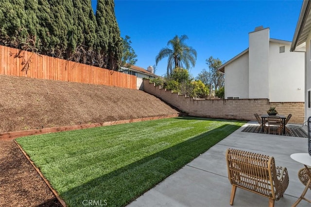 view of yard with a patio area and a fenced backyard