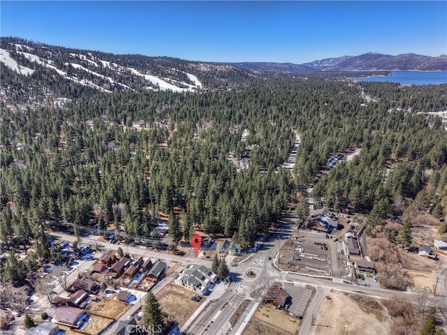 birds eye view of property featuring a forest view and a mountain view