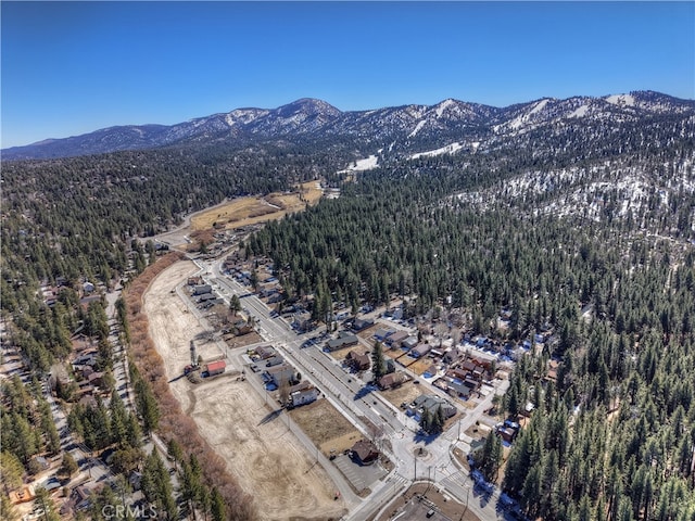 bird's eye view featuring a mountain view and a wooded view