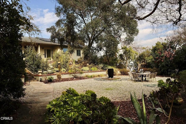 view of yard featuring a patio