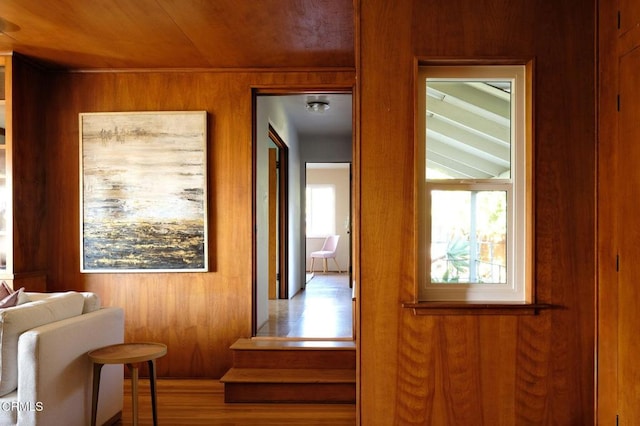 corridor featuring wood walls and wood ceiling