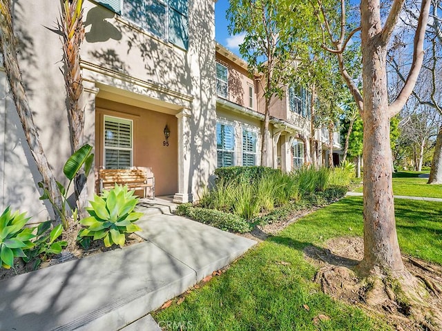 view of exterior entry with a yard and stucco siding