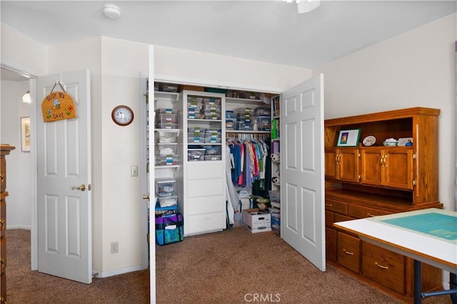 view of closet