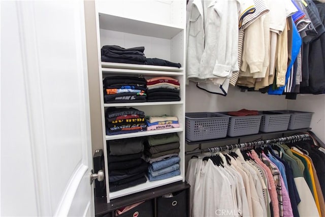 view of spacious closet