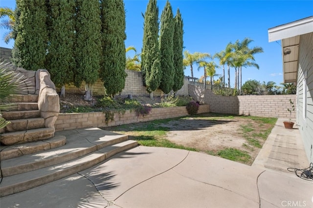 view of yard featuring a patio and a fenced backyard