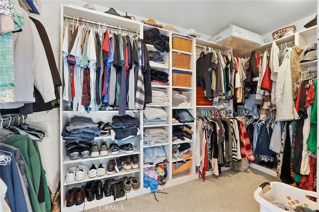 walk in closet featuring carpet