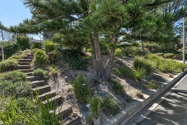 view of yard with stairs