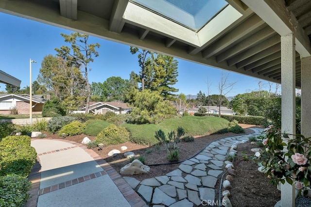 view of yard with a patio area