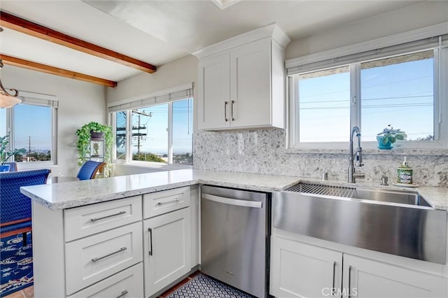 kitchen with stainless steel dishwasher, a sink, and a wealth of natural light