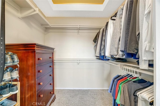 walk in closet with carpet floors