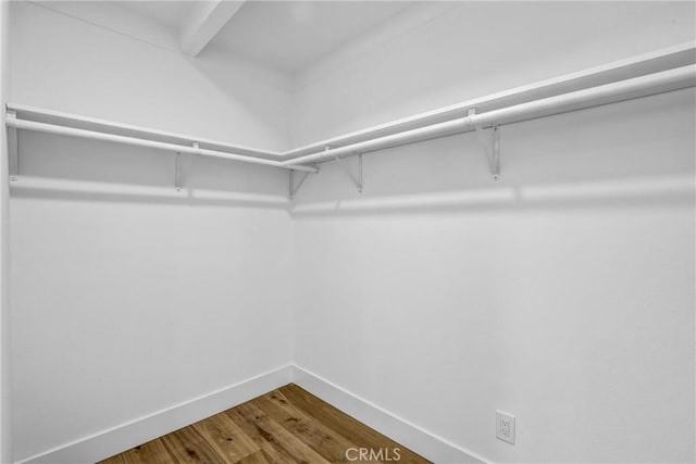 spacious closet featuring dark wood-style flooring