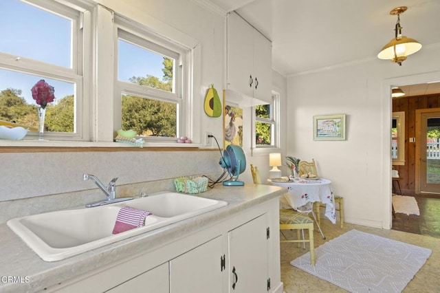 bathroom with crown molding, a sink, and a healthy amount of sunlight