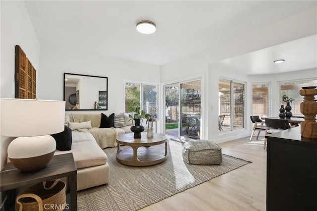 living room with wood finished floors