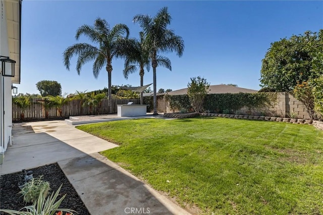 view of yard with a fenced backyard and a patio