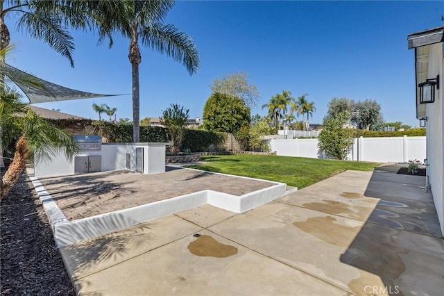 view of yard with a patio area, a fenced backyard, and area for grilling