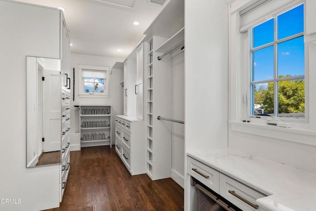 spacious closet with visible vents and dark wood finished floors