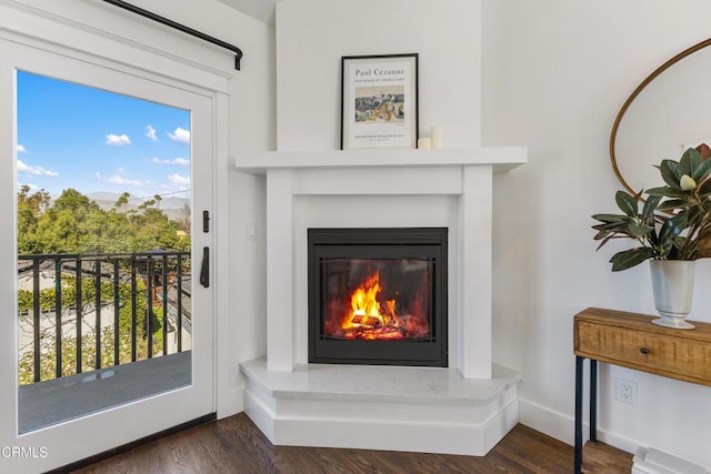 details featuring wood finished floors, a glass covered fireplace, and baseboards