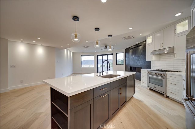 kitchen featuring high end stainless steel range, decorative backsplash, light wood-style floors, a sink, and under cabinet range hood