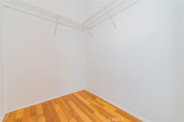 spacious closet featuring light wood finished floors