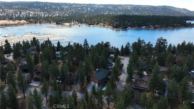 drone / aerial view with a view of trees and a water view