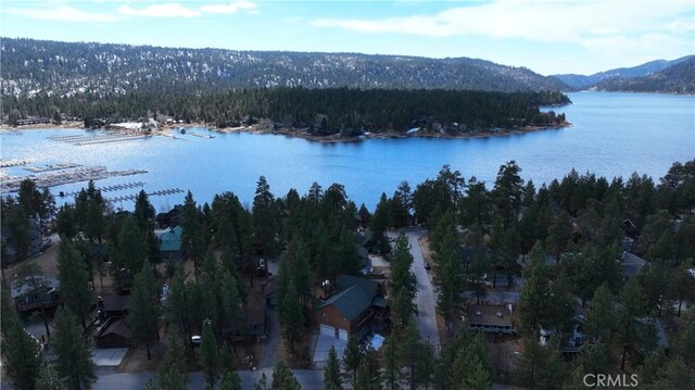 property view of water featuring a mountain view and a view of trees