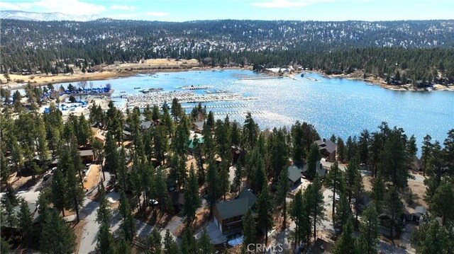 aerial view featuring a forest view and a water view