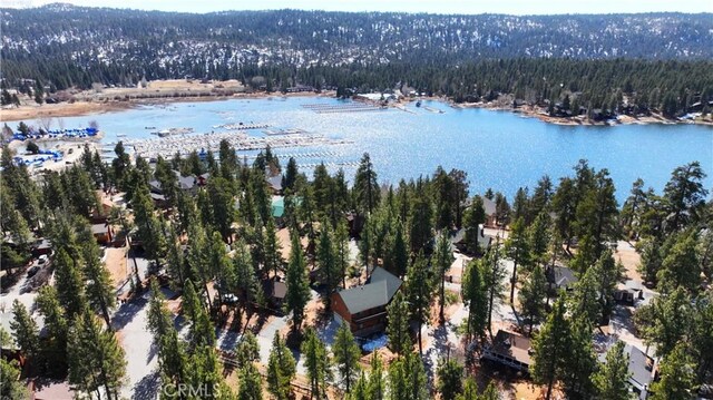 aerial view with a water view and a wooded view