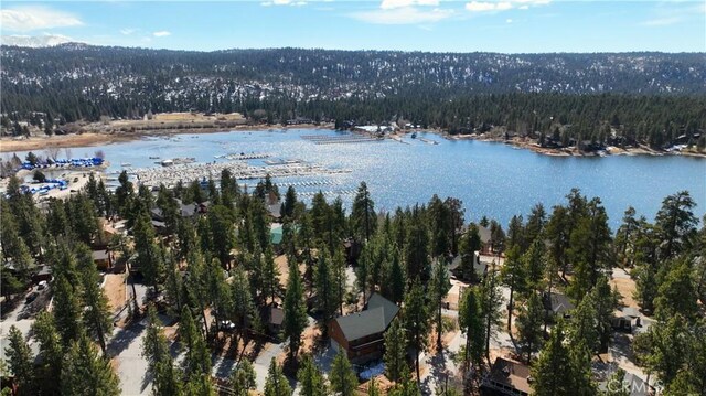 birds eye view of property featuring a view of trees and a water view