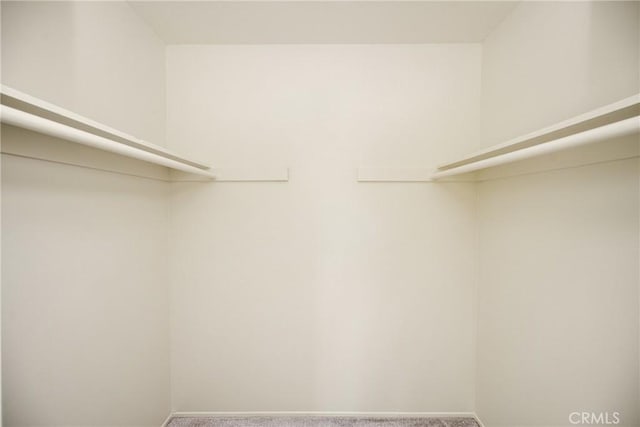 walk in closet with carpet