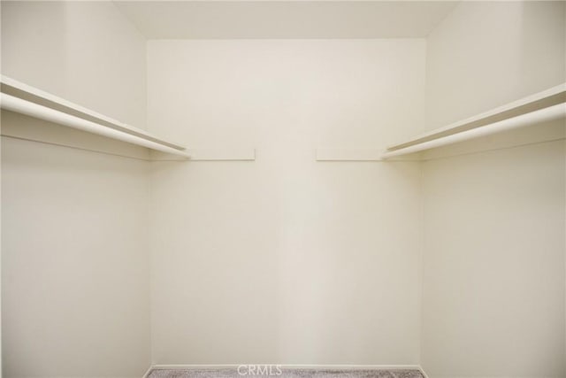 700 W La Veta Ave Unit I11, Orange, CA 92868 - walk in closet featuring carpet floors