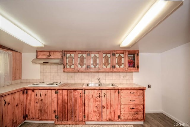 kitchen with decorative backsplash, white electric cooktop, a sink, wood finished floors, and under cabinet range hood