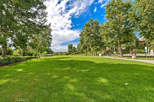 view of property's community featuring a lawn