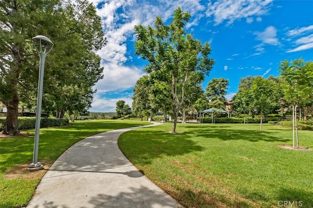 view of community with a lawn