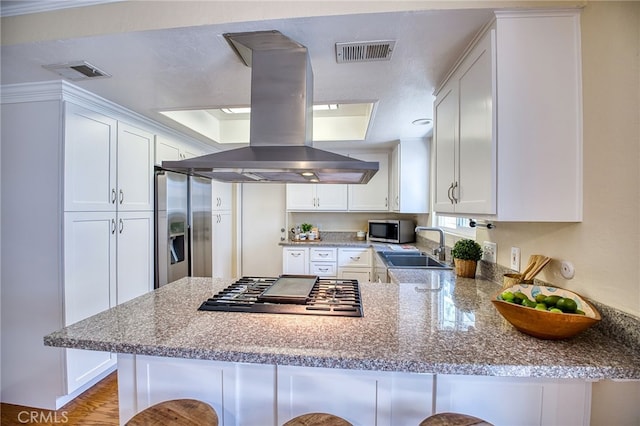 kitchen with stainless steel appliances, visible vents, a sink, and island range hood