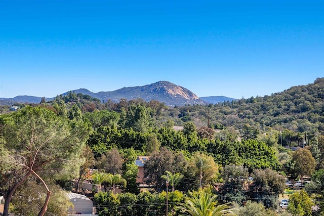 view of mountain feature with a forest view