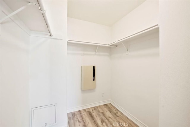 walk in closet featuring light wood-style flooring